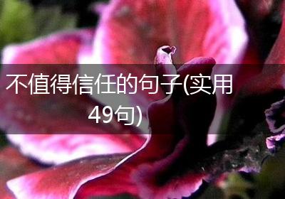 不值得信任的句子(实用49句)