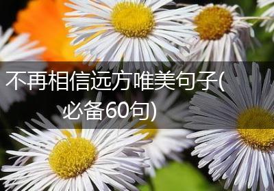 不再相信远方唯美句子(必备60句)
