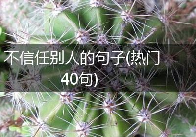 不信任别人的句子(热门40句)