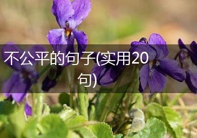 不公平的句子(实用20句)