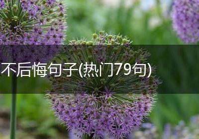 不后悔句子(热门79句)
