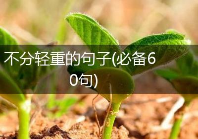 不分轻重的句子(必备60句)