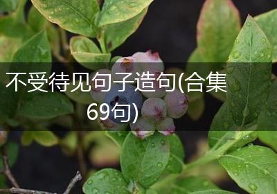 不受待见句子造句(合集69句)