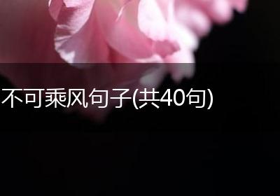 不可乘风句子(共40句)
