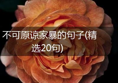 不可原谅家暴的句子(精选20句)