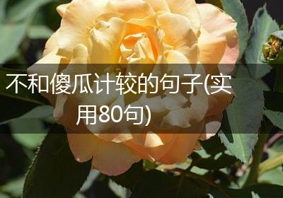 不和傻瓜计较的句子(实用80句)