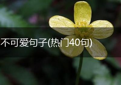 不可爱句子(热门40句)