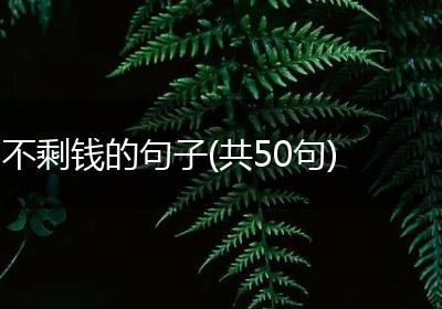 不剩钱的句子(共50句)