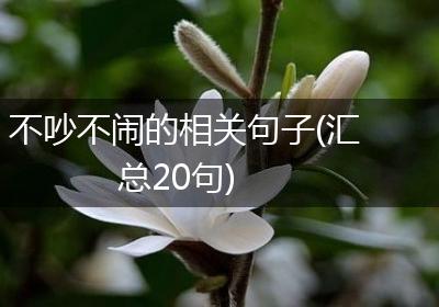 不吵不闹的相关句子(汇总20句)