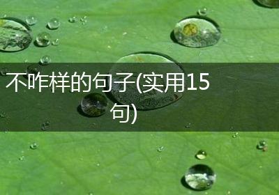 不咋样的句子(实用15句)