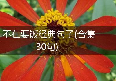 不在要饭经典句子(合集30句)