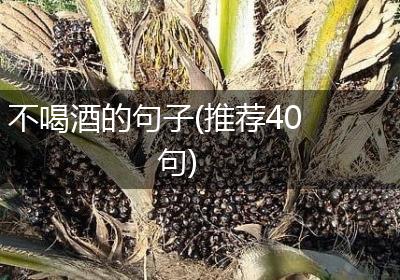 不喝酒的句子(推荐40句)