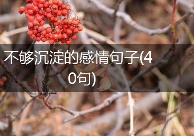 不够沉淀的感情句子(40句)