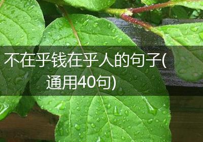 不在乎钱在乎人的句子(通用40句)