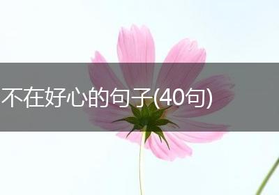 不在好心的句子(40句)