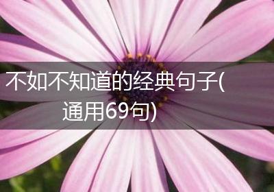不如不知道的经典句子(通用69句)