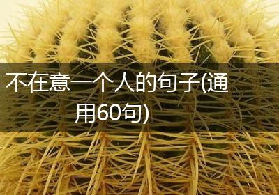 不在意一个人的句子(通用60句)