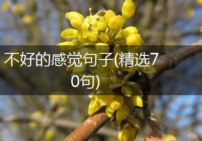 不好的感觉句子(精选70句)