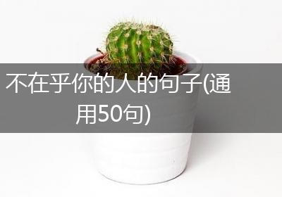 不在乎你的人的句子(通用50句)