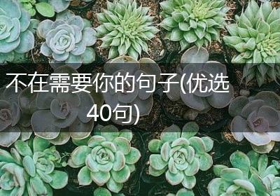 不在需要你的句子(优选40句)