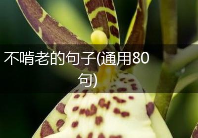 不啃老的句子(通用80句)