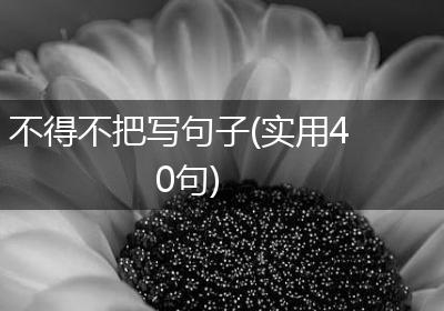 不得不把写句子(实用40句)