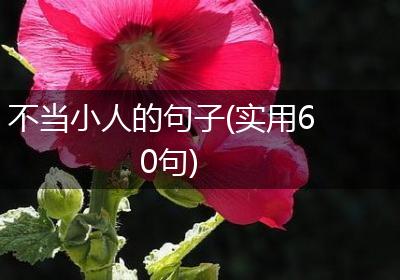 不当小人的句子(实用60句)