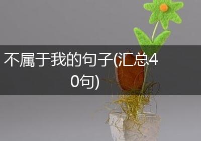 不属于我的句子(汇总40句)