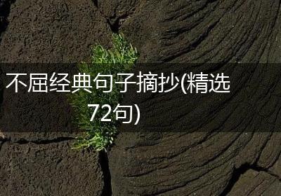 不屈经典句子摘抄(精选72句)