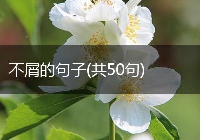 不屑的句子(共50句)
