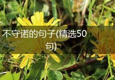 不守诺的句子(精选50句)