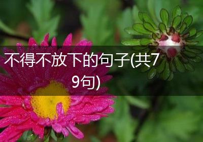 不得不放下的句子(共79句)