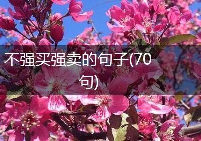 不强买强卖的句子(70句)