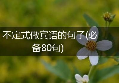 不定式做宾语的句子(必备80句)