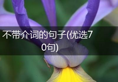 不带介词的句子(优选70句)