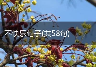 不快乐句子(共58句)