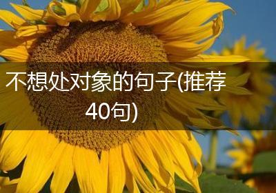 不想处对象的句子(推荐40句)