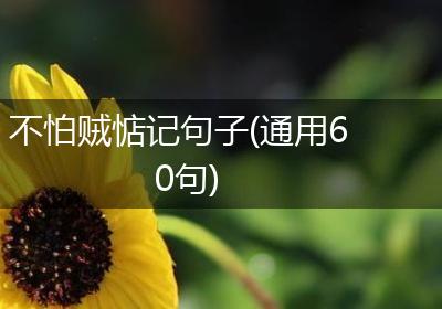 不怕贼惦记句子(通用60句)