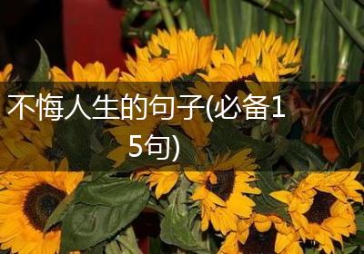 不悔人生的句子(必备15句)