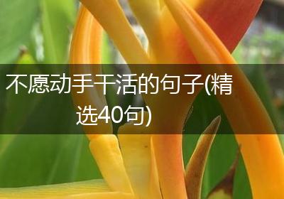 不愿动手干活的句子(精选40句)