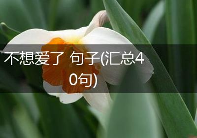 不想爱了 句子(汇总40句)