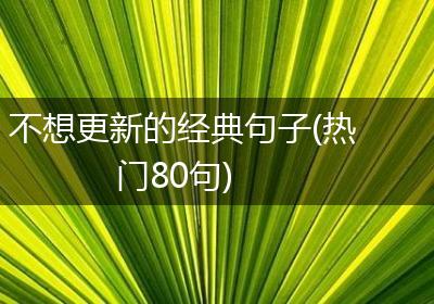 不想更新的经典句子(热门80句)