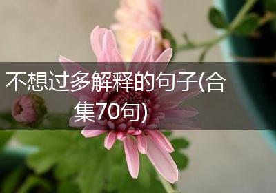 不想过多解释的句子(合集70句)