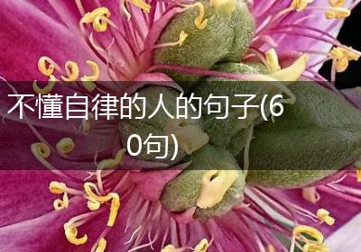 不懂自律的人的句子(60句)