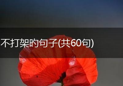 不打架旳句子(共60句)
