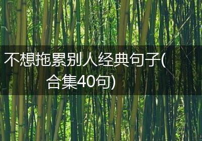 不想拖累别人经典句子(合集40句)