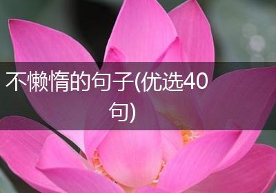 不懒惰的句子(优选40句)