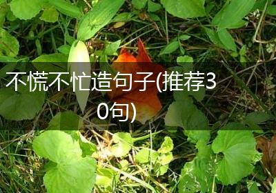 不慌不忙造句子(推荐30句)