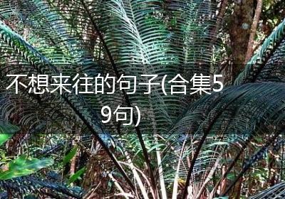 不想来往的句子(合集59句)