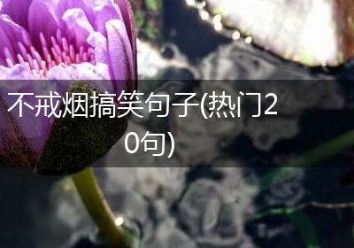 不戒烟搞笑句子(热门20句)
